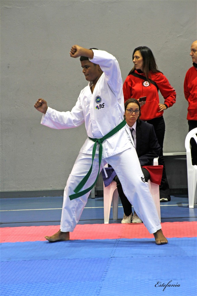 Copa Seul 2018 (447).jpg